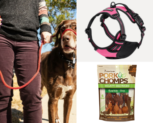 Fur Babies cover photo collage