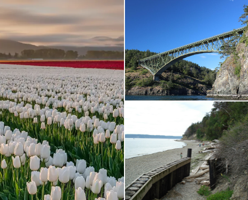 PNW Places cover photo collage
