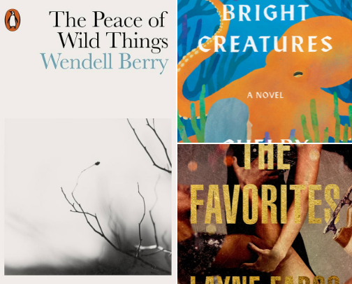 2025 five star reads - aka the books i thought were AMAZING this year cover photo collage