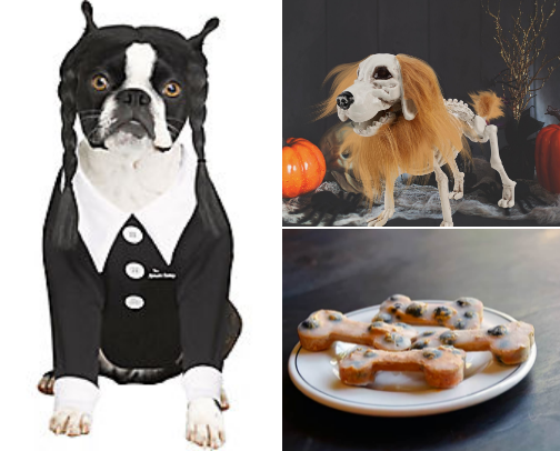 Halloweenies 🐶🐾🎃🦴 cover photo collage