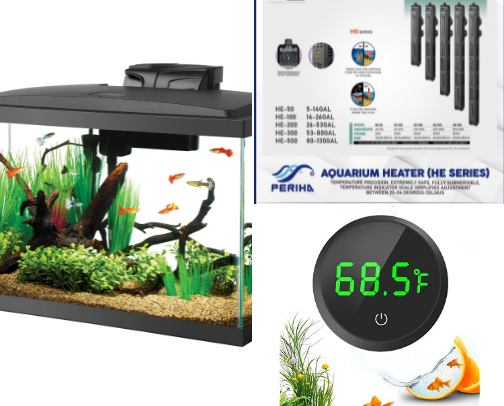 🐟 Have a Happy and Healthy Betta 

Betta Fish Aquarium Essentials — Beginner Setup cover photo collage