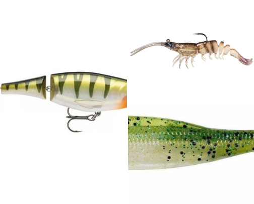 Best Lures To Use For Fishing cover photo collage