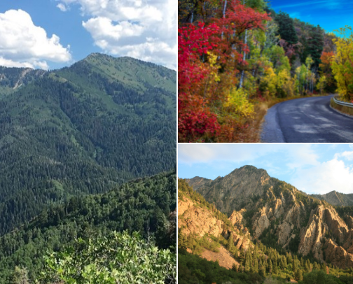 All Things Fall! cover photo collage