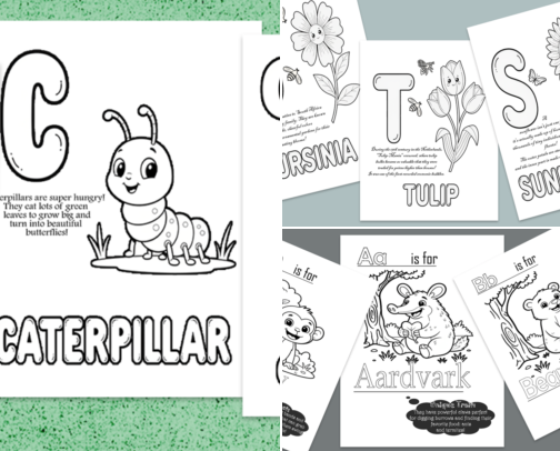 Looking for a fun way to introduce your little one to the ABCs without overwhelming them? cover photo collage
