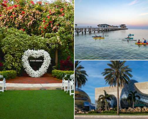 My Favorite Tampa Bay Places cover photo collage