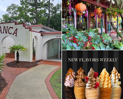 Explore Wilmington, NC 🐚 cover photo collage