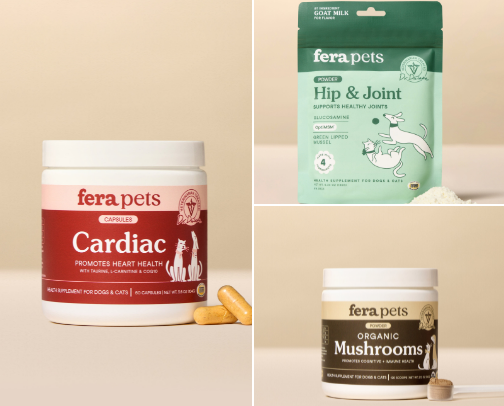 High quality supplements I would feed my Doberman cover photo collage