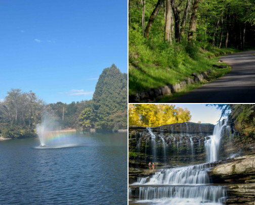 Nashville (and the surrounding) MUST’s cover photo collage