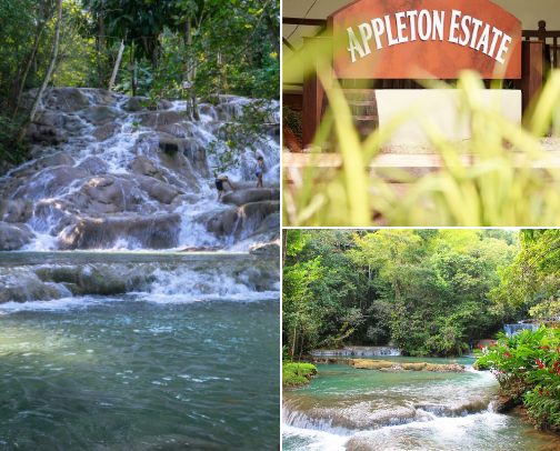 Must do’s in Jamaica cover photo collage