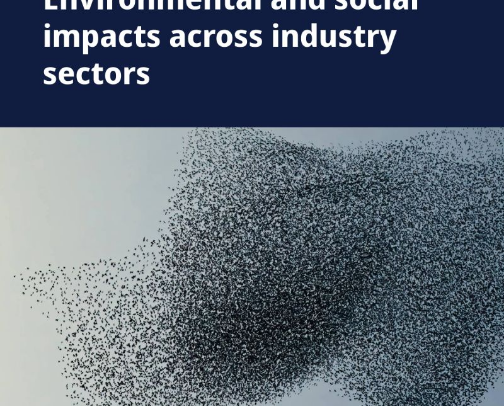 Impact on Various Sectors cover photo collage
