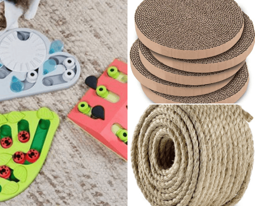 Cats, cats & cats cover photo collage