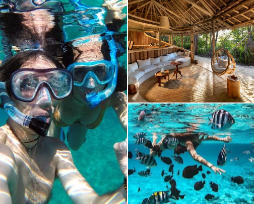 17 travel experiences for Mnemba Island synthesizes luxury cover photo collage