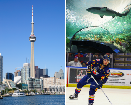 Are you visiting Ontario? Or live here and just do not know what to do or want to try new places and things here is what some of my fav are that I have done and been to. cover photo collage