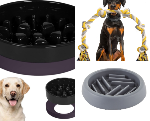 All for the doggies! cover photo collage