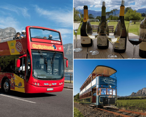 South Africa Travel and Adventures cover photo collage