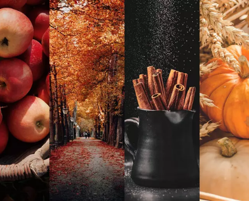 You Will Smell Like Fall cover photo collage