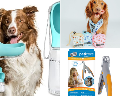 Must-Have Pet Care Products for My Dog cover photo collage