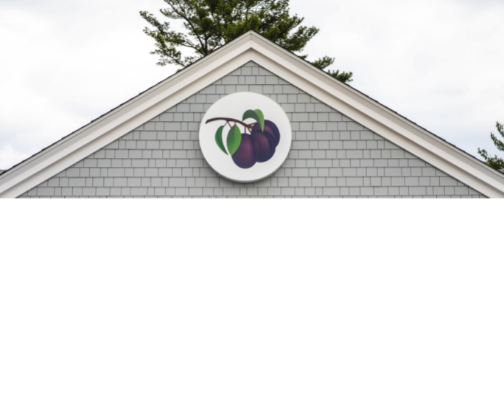 Best local places NH cover photo collage