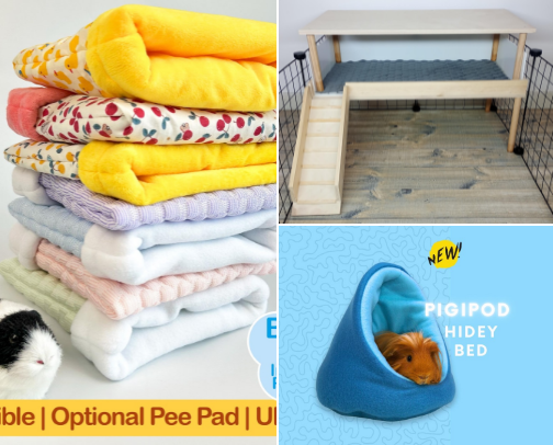Everything guinea pigs need for a happy life cover photo collage