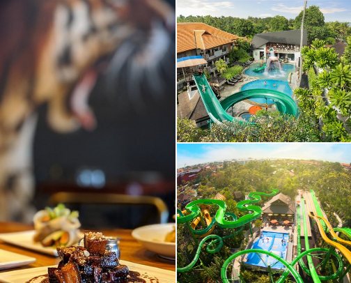My Top Food and Travel Destinations 🥰🥰 cover photo collage