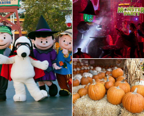 Things to do in the Fall- SoCal cover photo collage