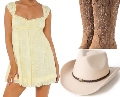 3 Country Concert Ideas Perfect For Summer cover photo collage