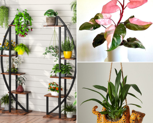 All Things Green and Growing 🌱 cover photo collage