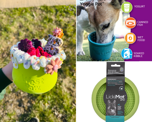 Dog Enrichment cover photo collage