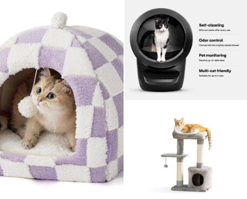 Shopping at PetSmart for a new kitten! cover photo collage