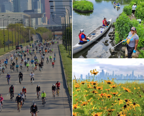 🌿 Chicago Environmental & Nature Nonprofits Worth Supporting cover photo collage