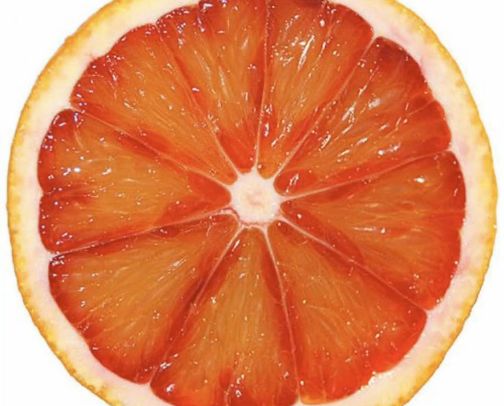 Citrus Scent Essentials 🍊 cover photo collage