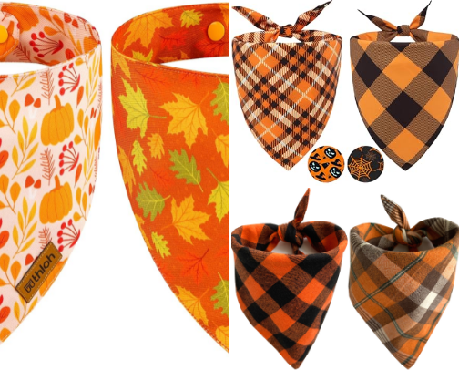 Dog Fall Items cover photo collage
