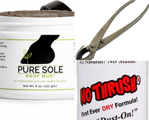 Hoof care cover photo collage