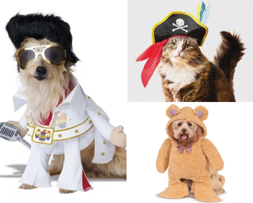 Purr-fect Howl-o-ween Pet Costumes cover photo collage