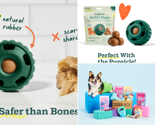 Puppy Survival Kit cover photo collage