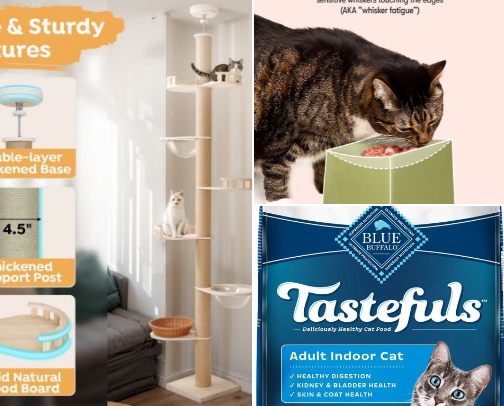 Cat Lover Recs cover photo collage