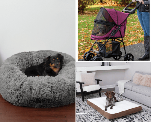 Puppy shop🐶 cover photo collage