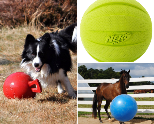 Herding Dog Toys 🐕 cover photo collage
