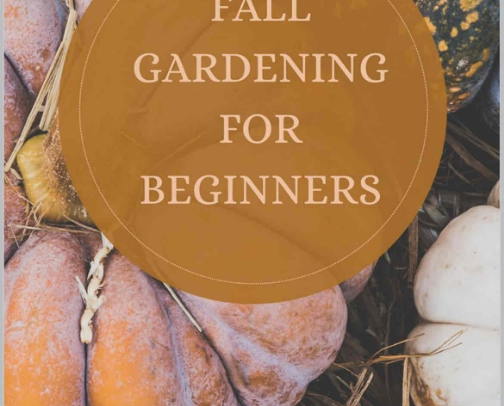 Autumn gardening made easy 🍂 cover photo collage