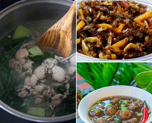 Exotic Eats of the Philippines 🇵🇭: A Bold Food Adventure cover photo collage