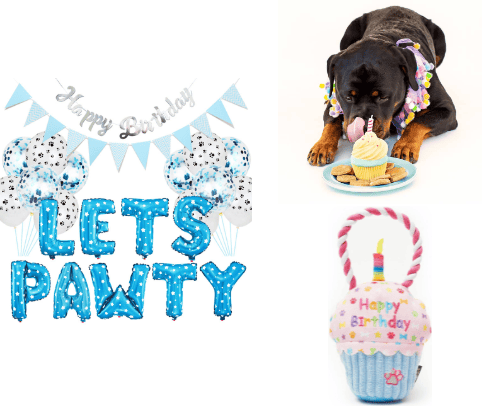 Party Time 🥳 cover photo collage