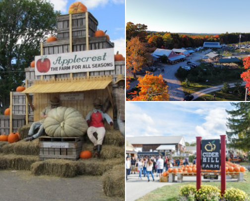 Best Apple Picking - North and West of Boston cover photo collage