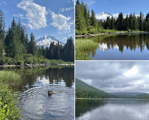 Oregon Hikes cover photo collage
