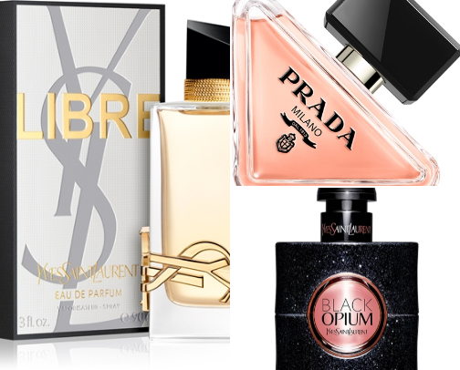 best long lasting perfumes✨ cover photo collage