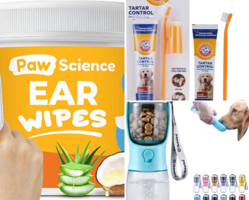 🐾 Pet Care Must-Haves cover photo collage