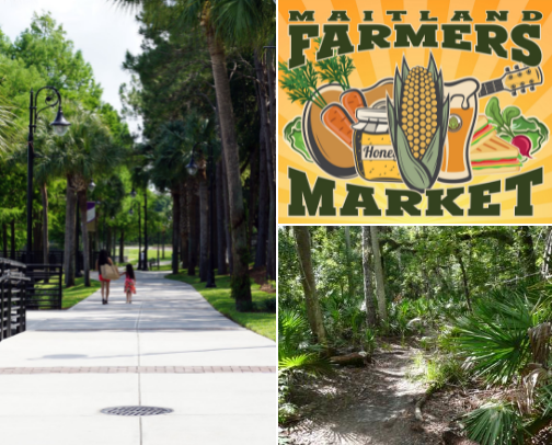 Central Florida Activities cover photo collage
