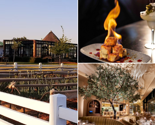 South Africa Gems: Food, Fun & Sights cover photo collage