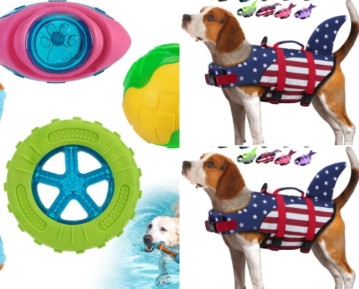 Summer Must-Haves for You & Your Pup cover photo collage