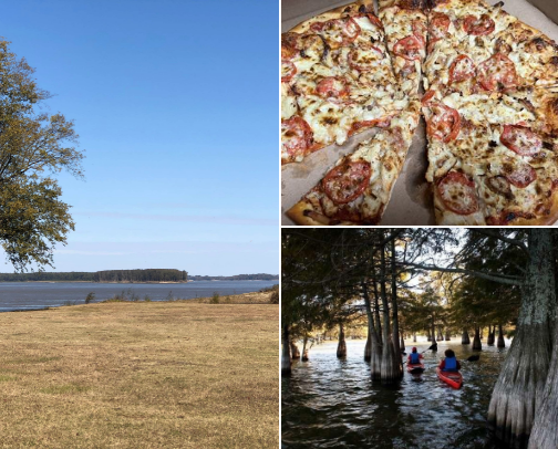 Things to do in the MS delta cover photo collage