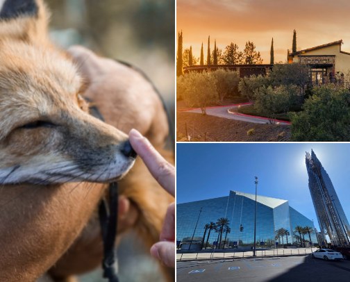 Making Memories in Southern California cover photo collage